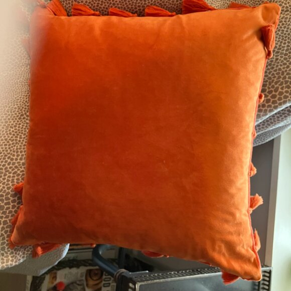Designer Pillows! - Picture 9 of 10